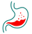 sistem pencernaan dan metabolisme.png