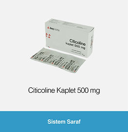 Gallery Produk Sistem Saraf-01.jpg